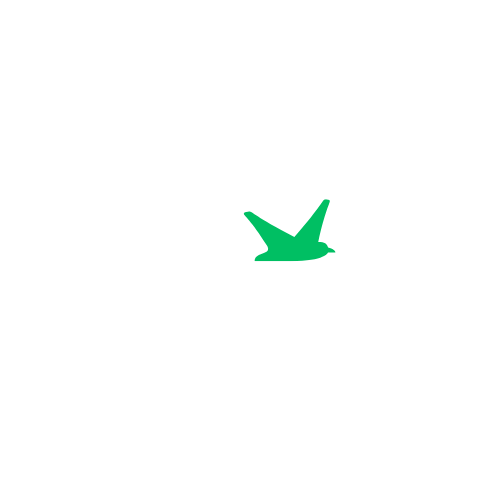 Biznoverse logo inverse